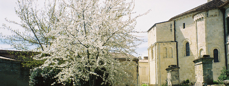label1