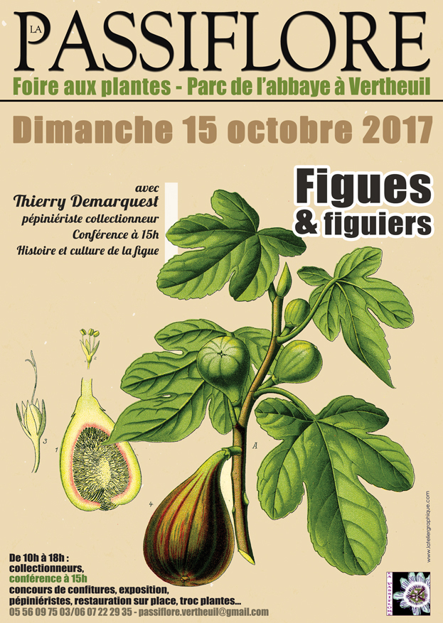 AFFICHE-automne-2017-web