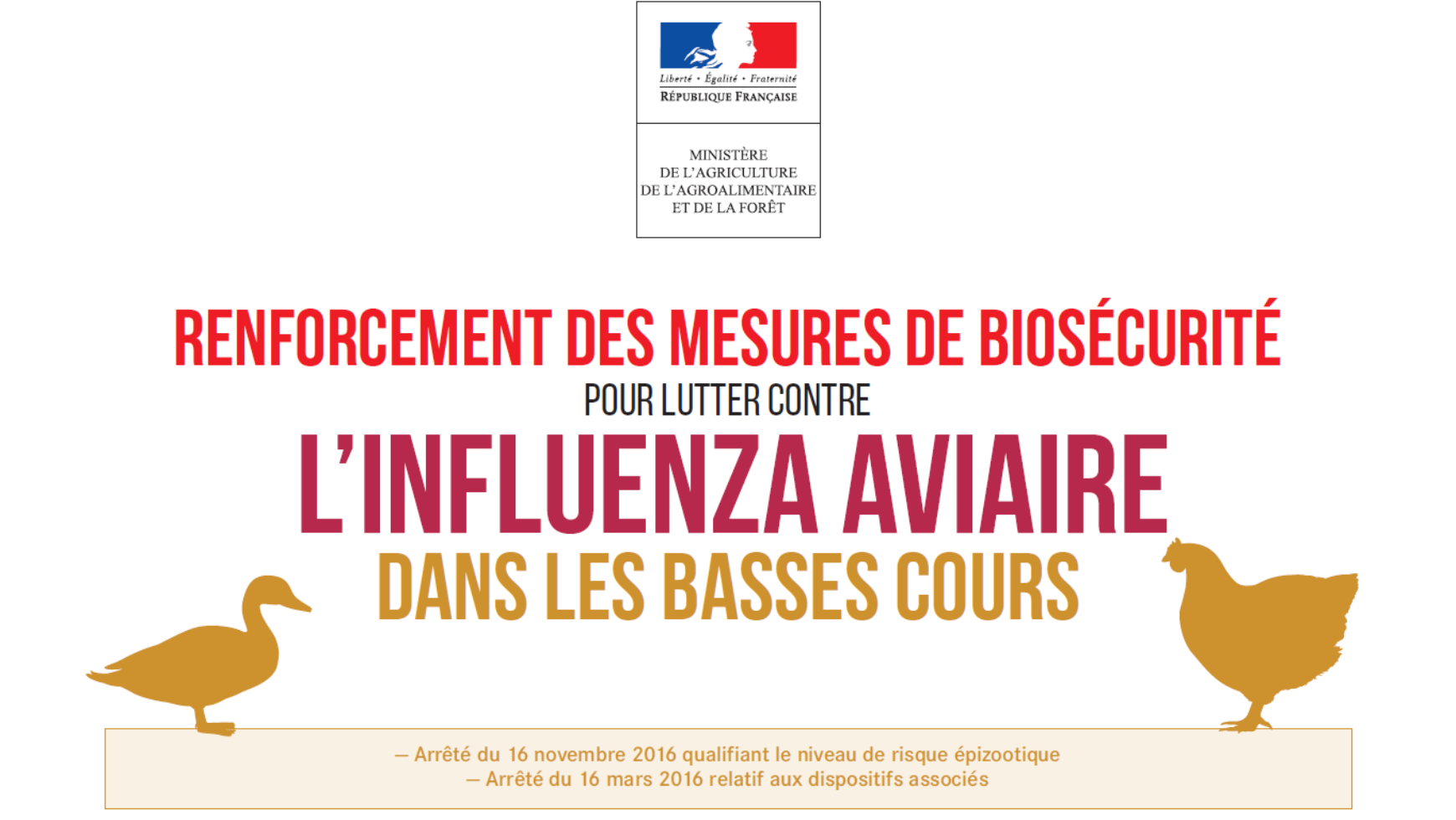 LUTTE CONTRE L’ INFLUENZA AVIAIRE ﻿﻿