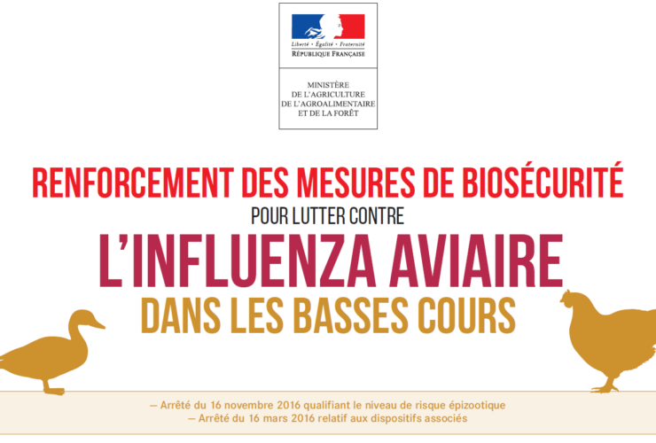 LUTTE CONTRE L’ INFLUENZA AVIAIRE ﻿﻿