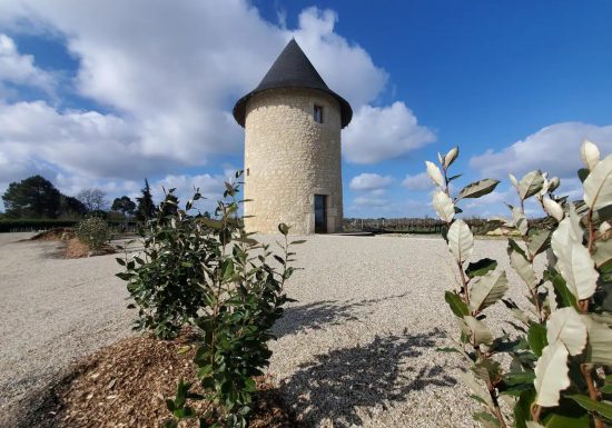Chateau des moulins vertheuil