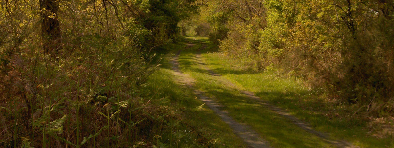Photo randonnée Vertheuil 3