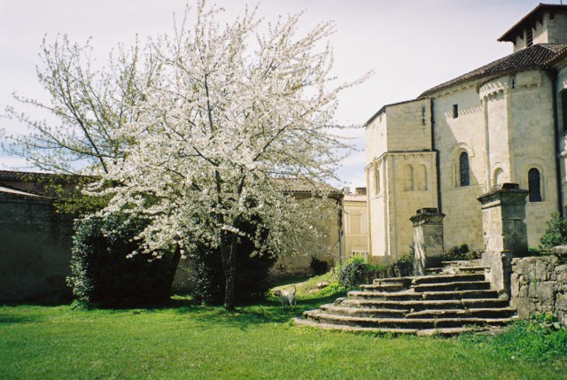 Ecole Lucie Aubrac de Vertheuil 1